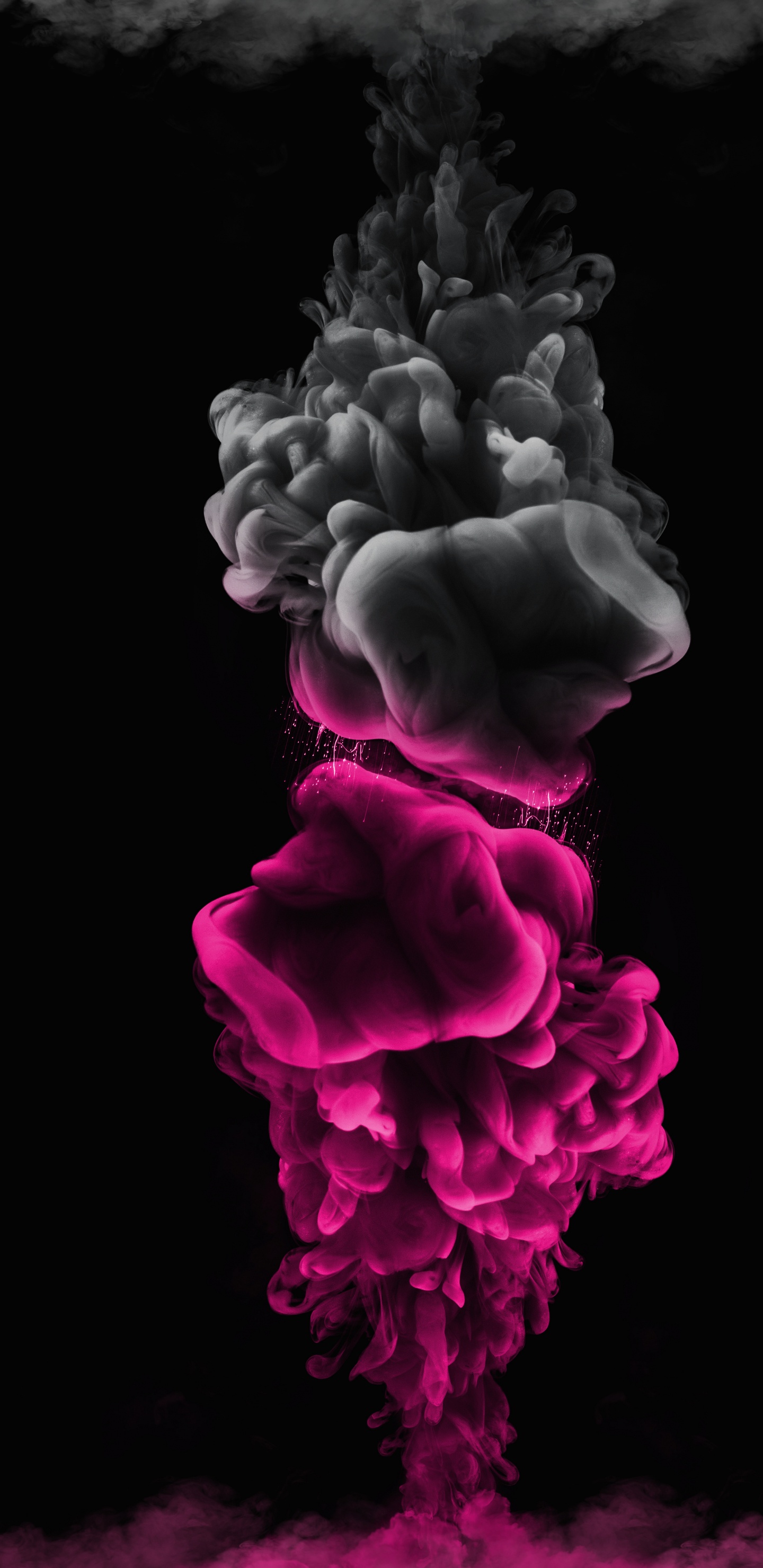 Обои черный, розовый, цветной, синий, пурпур в разрешении 1440x2960