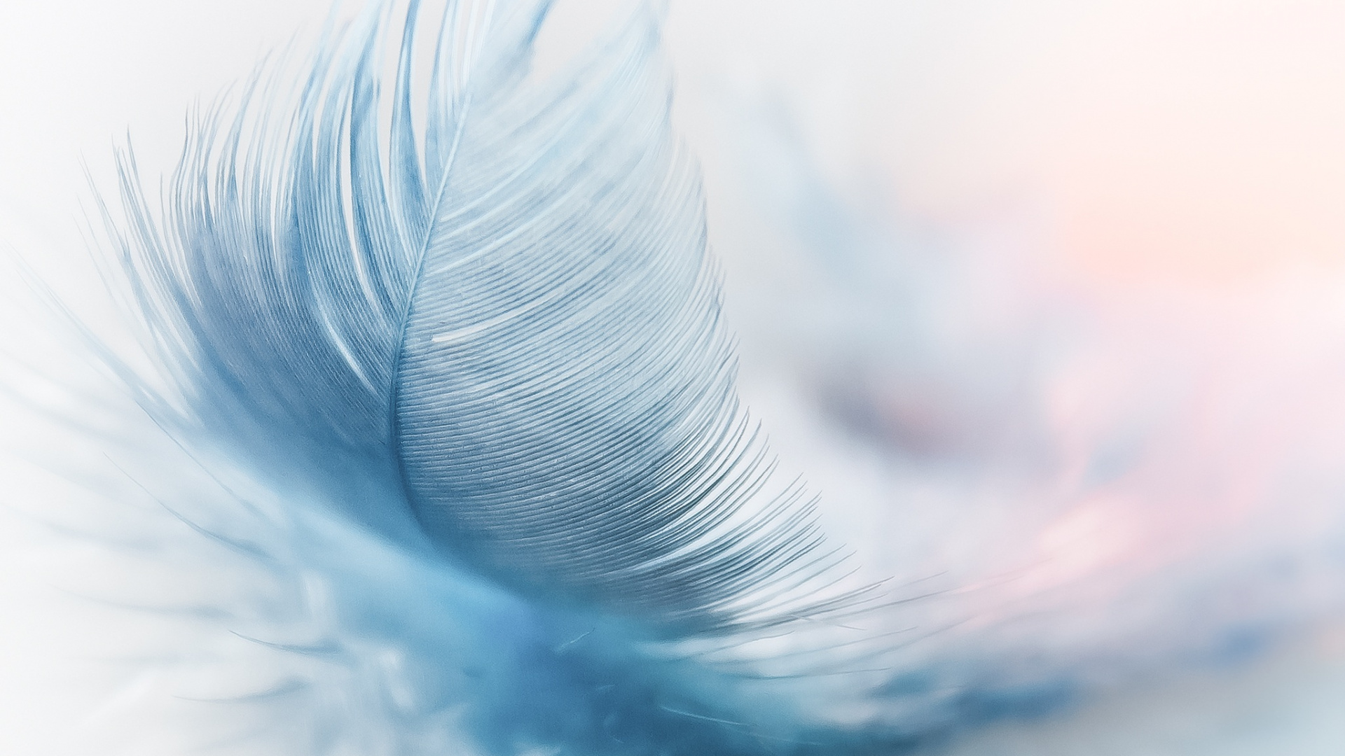 Обои синий, белые, бирюза, вода, крыло в разрешении 1920x1080