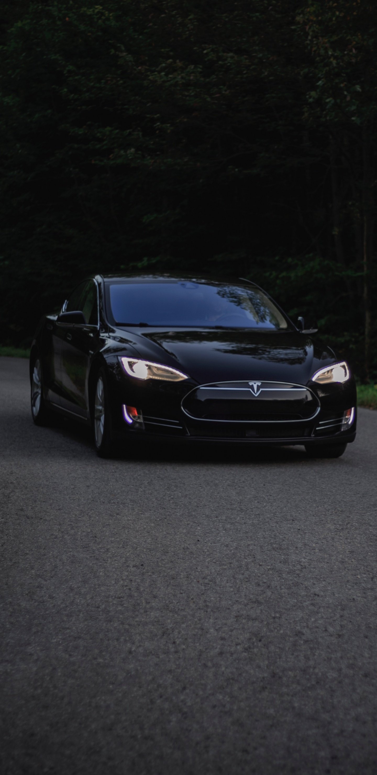 Обои Tesla Model S, авто, автомобильное освещение, фара, Tesla в разрешении 1440x2960