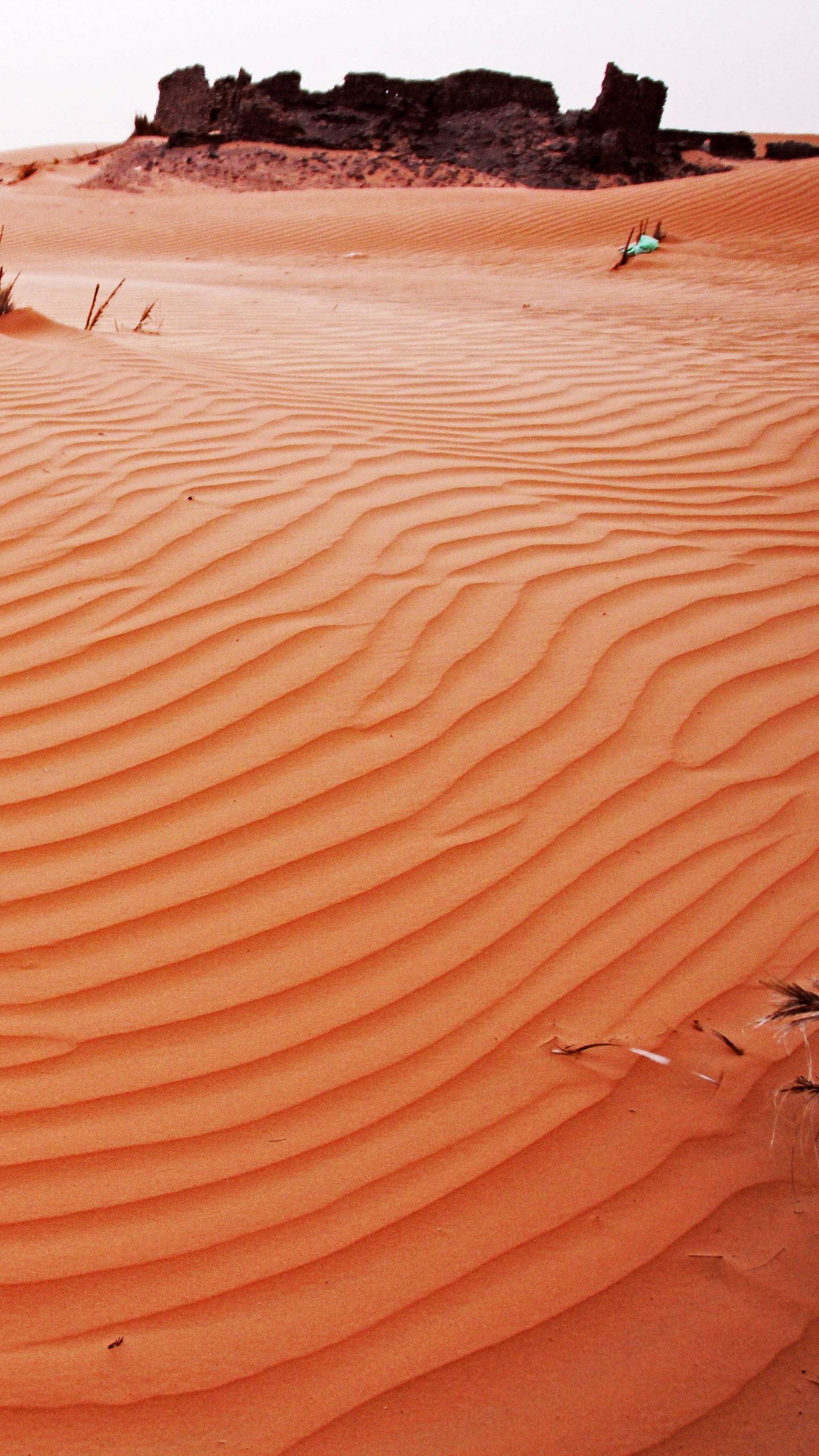 Обои пустыня, эрг, Дюна, песок, эолийские рельефы в разрешении 1440x2560