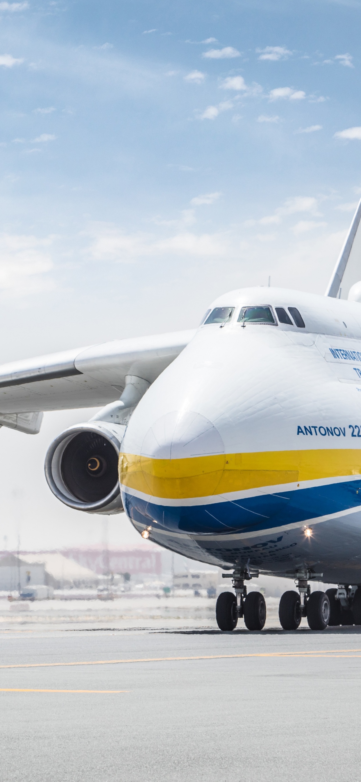 Обои самолеты, самолет, грузовой самолет, авиалайнер, Антонов в разрешении 1242x2688