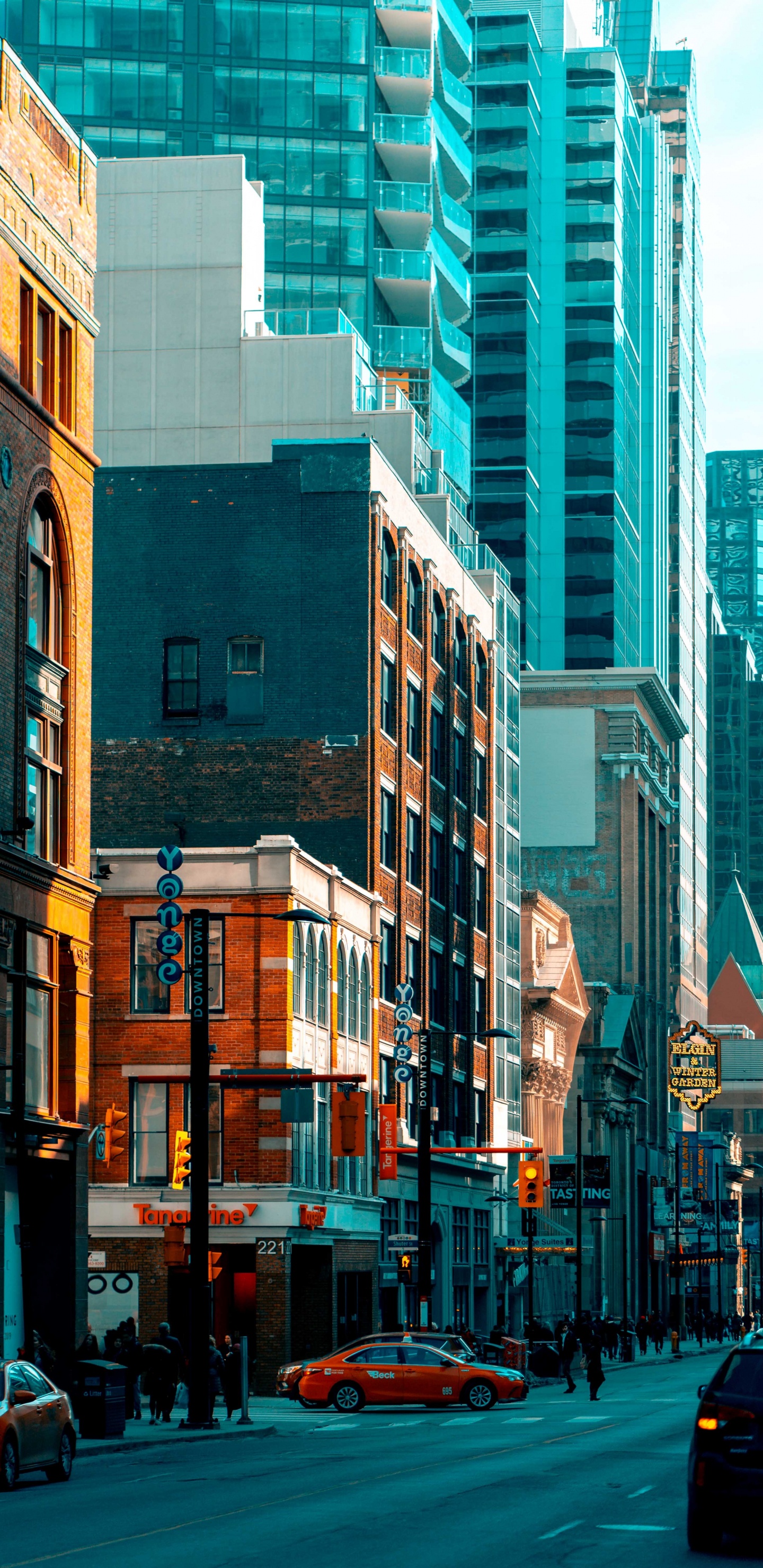 Обои здание, городской район, город, метрополия, деловой район в разрешении 1440x2960