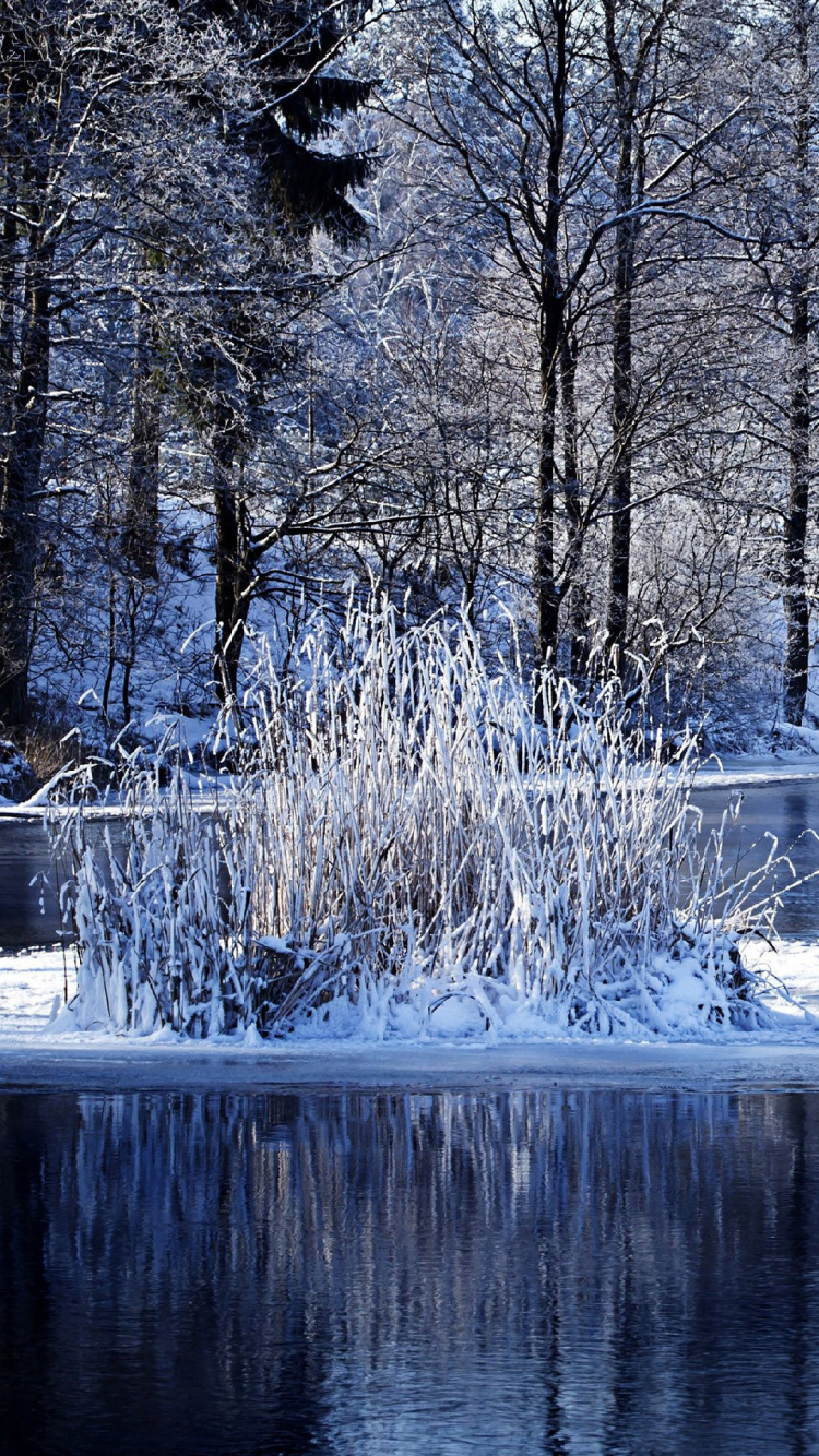 Обои зима, вода, природа, снег, замораживание в разрешении 750x1334