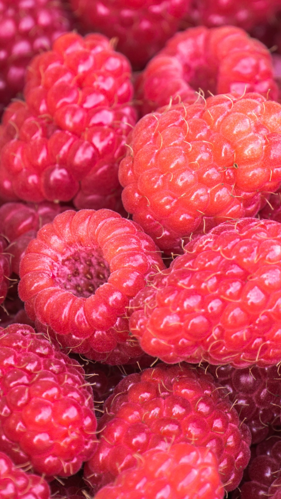 Обои малина, ягоды, фрукты, природные продукты, рубус в разрешении 1080x1920