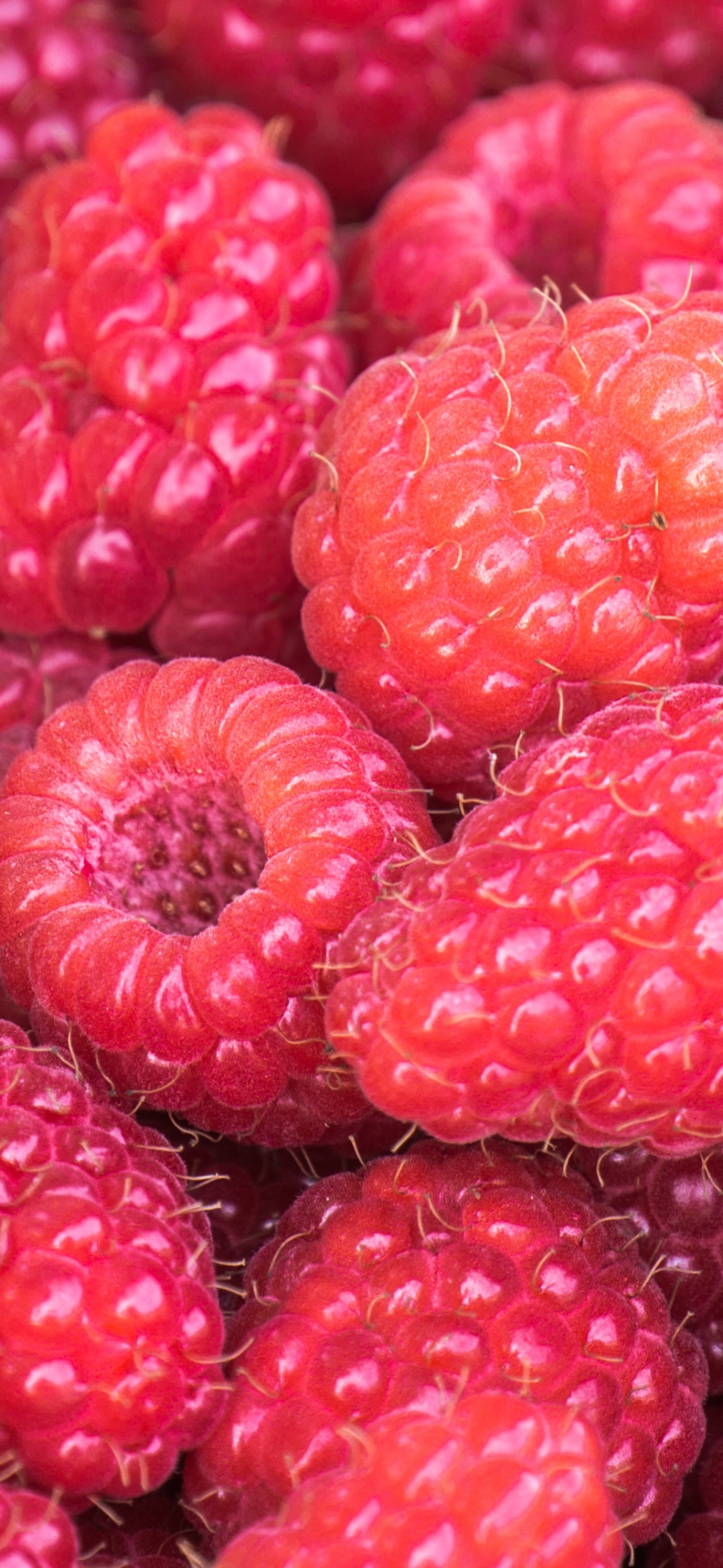 Обои малина, ягоды, фрукты, природные продукты, рубус в разрешении 1125x2436