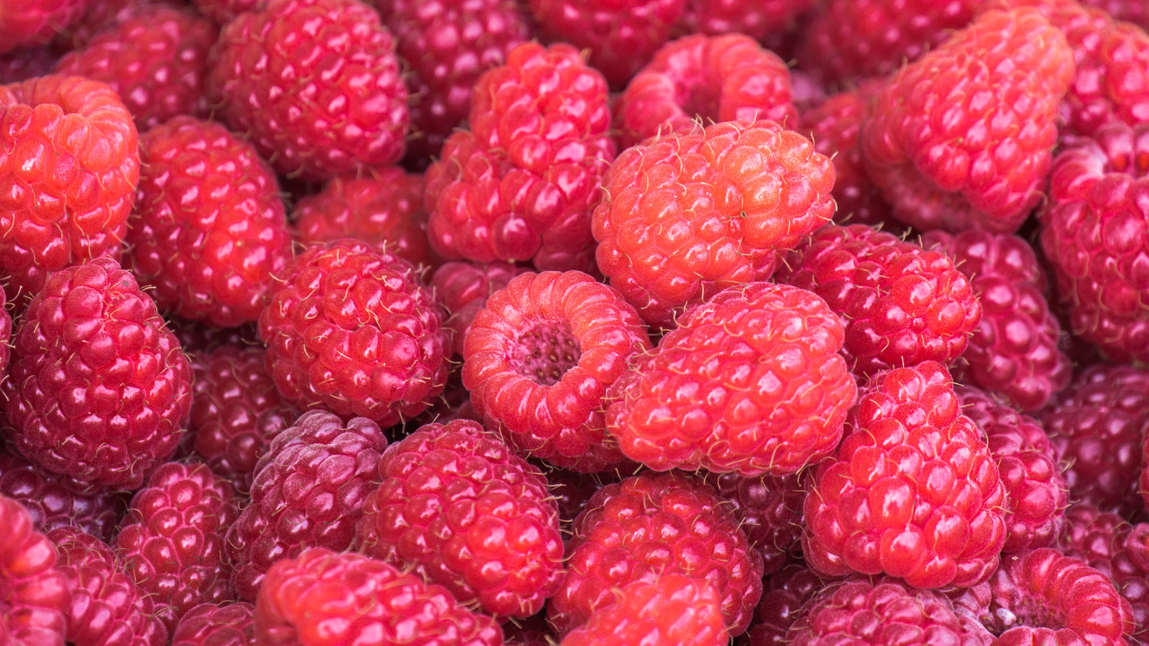 Обои малина, ягоды, фрукты, природные продукты, рубус в разрешении 1280x720