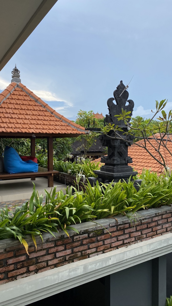 Обои крыша, наука, биология, флерон, скульптура в разрешении 720x1280