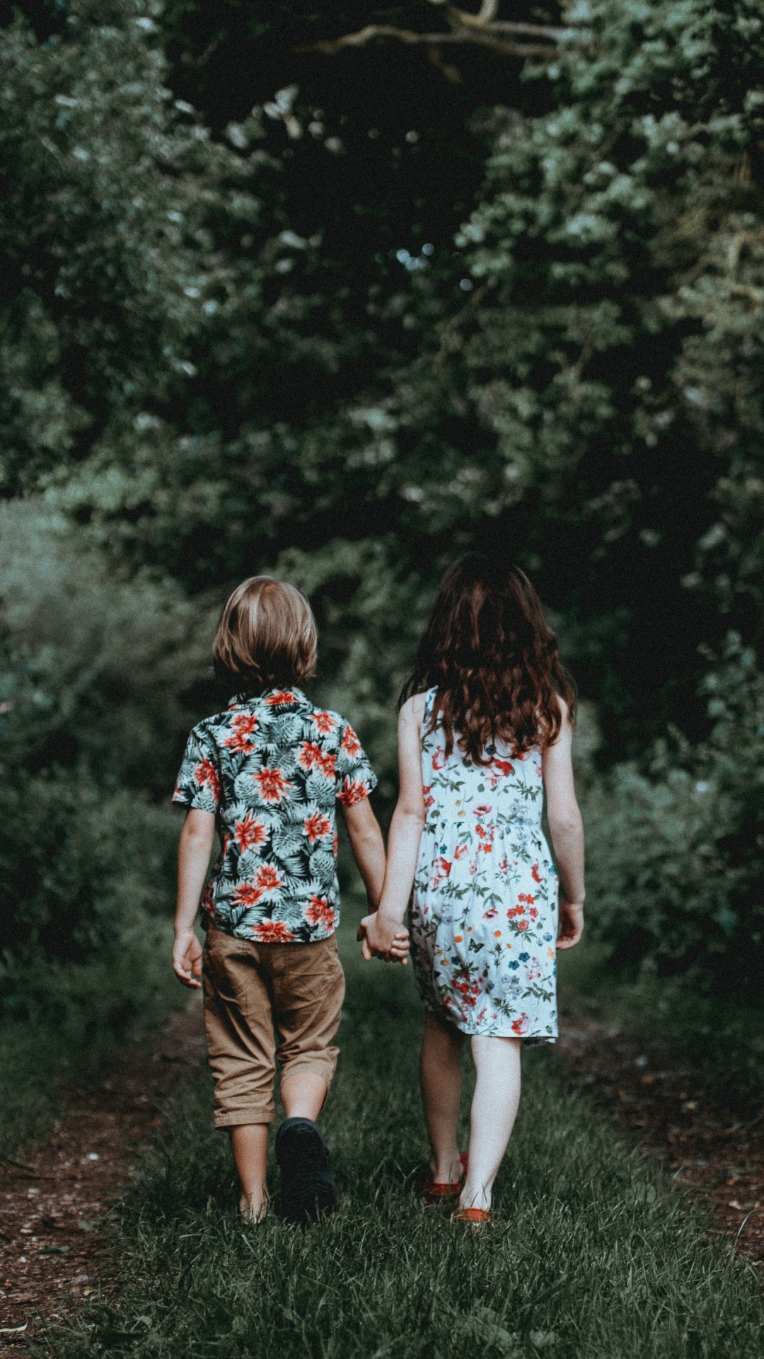 Обои Люди в природе, зеленый, природа, дерево, свет в разрешении 1080x1920