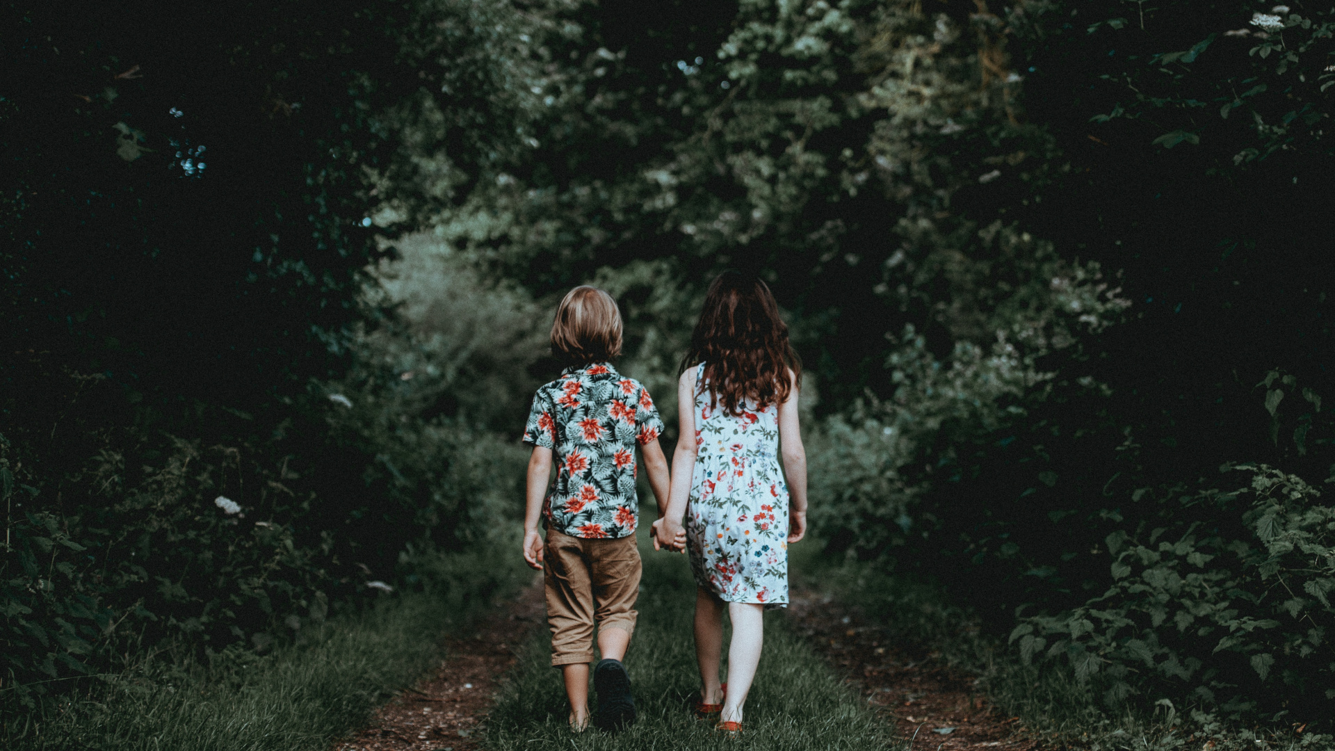 Обои Люди в природе, зеленый, природа, дерево, свет в разрешении 1920x1080