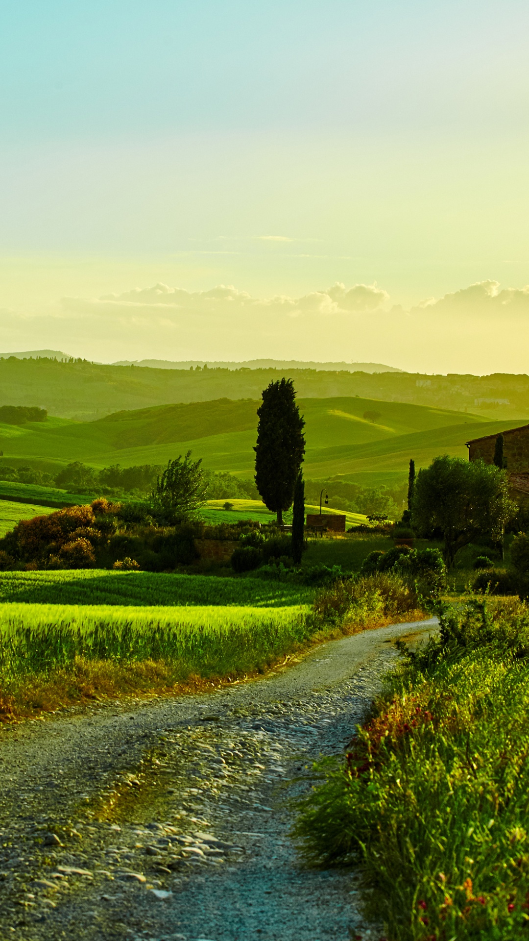 Обои природа, зеленый, холм, поле, сенокосное угодье в разрешении 1080x1920