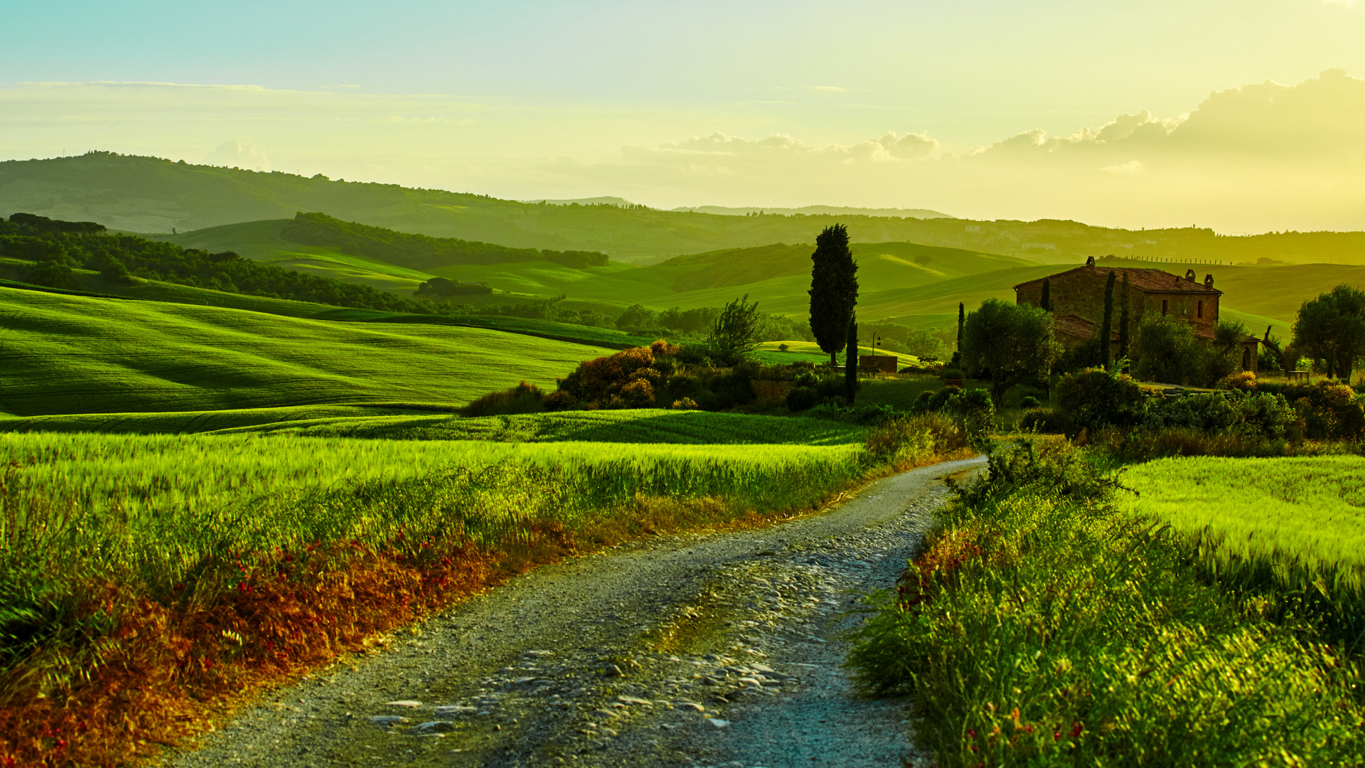 Обои природа, зеленый, холм, поле, сенокосное угодье в разрешении 1920x1080