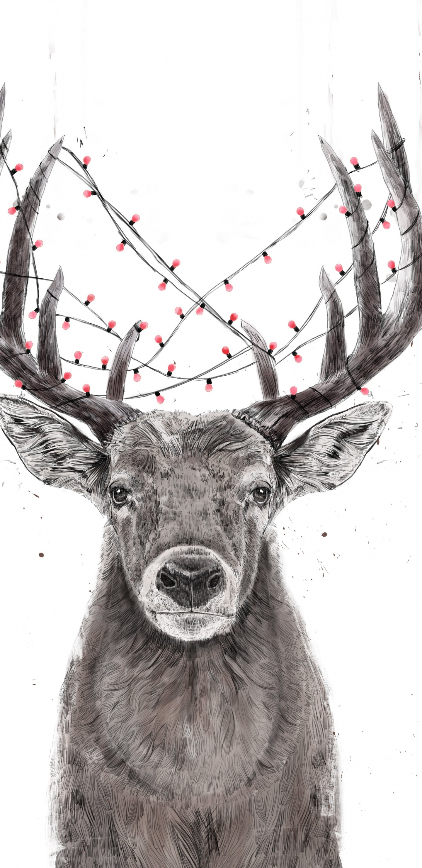 Обои Северный олень, олень, лось, Рождество, арт в разрешении 1440x2960