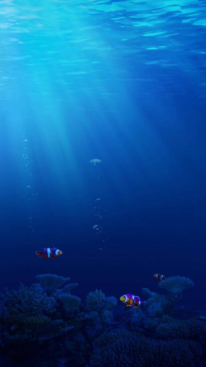 Обои Huawei, Huawei Honor 20, huawei honor 20 pro, честь 20, водоем в разрешении 720x1280