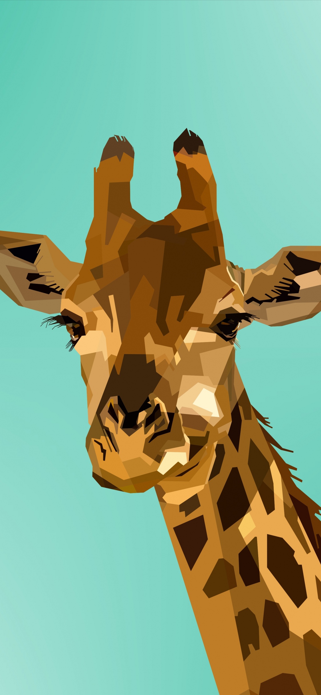 Обои Жираф, жирафовые, наземные животные, живая природа, голова в разрешении 1125x2436