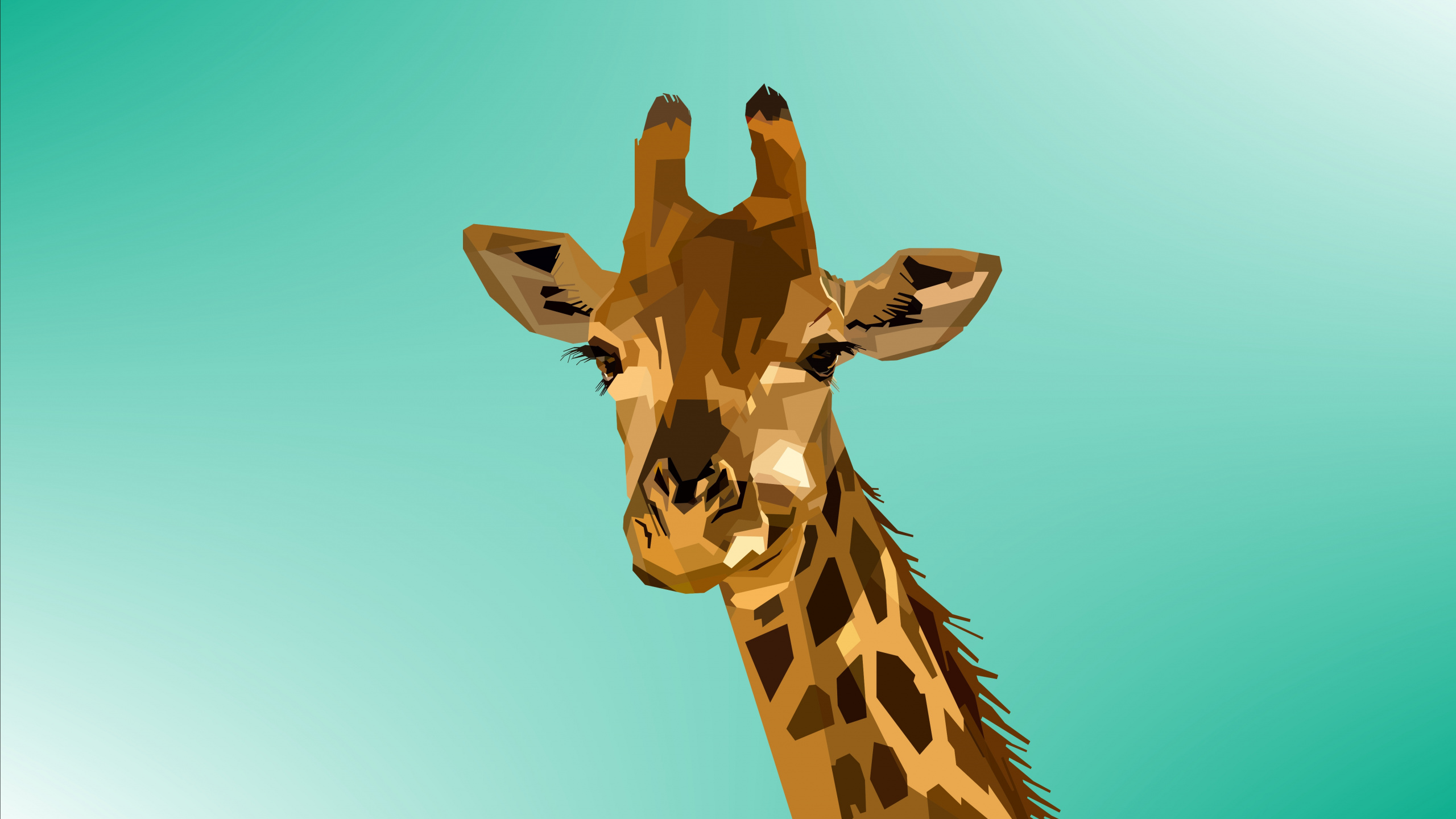 Обои Жираф, жирафовые, наземные животные, живая природа, голова в разрешении 2560x1440