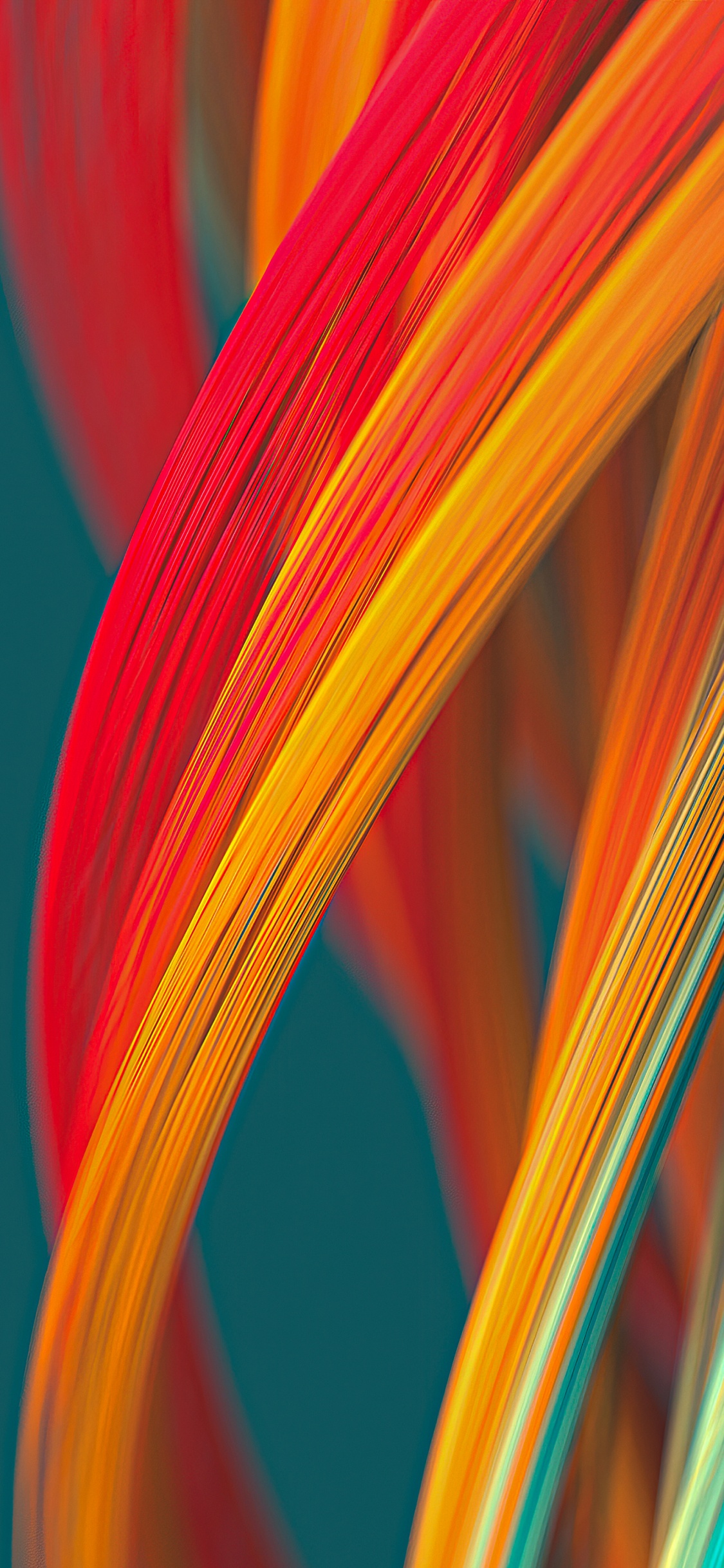 Обои Апельсин, красочность, растение, наземное растение, электрик в разрешении 1125x2436