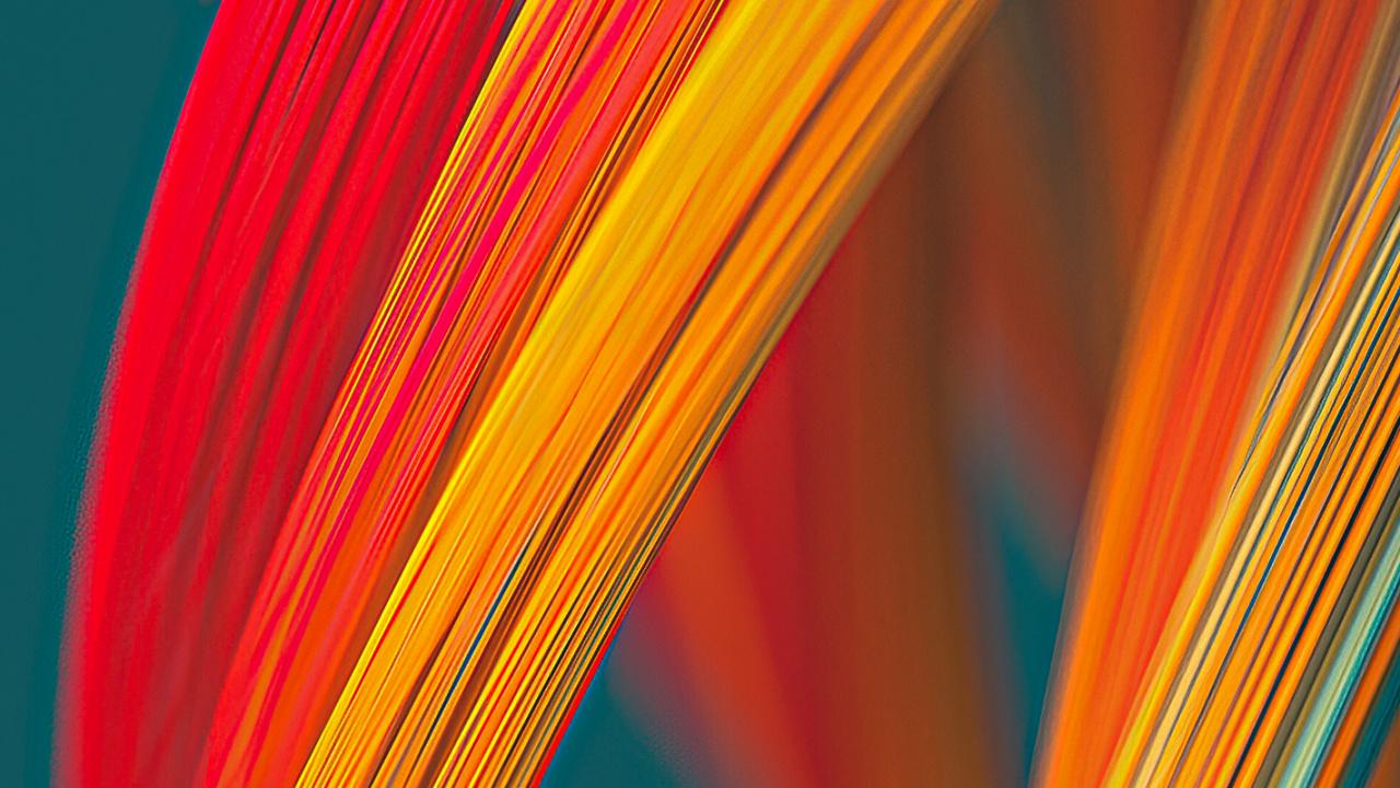 Обои Апельсин, красочность, растение, наземное растение, электрик в разрешении 1280x720