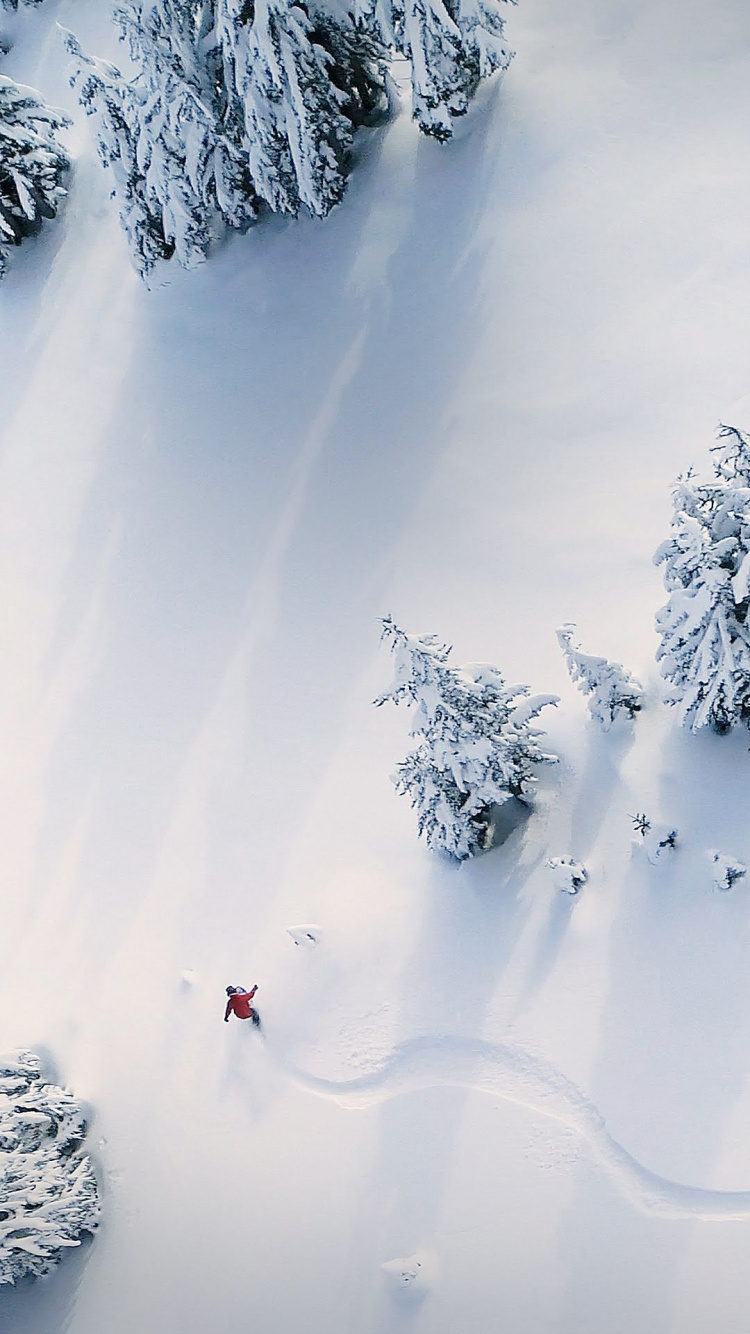 Обои asus, Asus ZenFone, Asus ZenFone 6, asus zenfone 7, Модель ASUS Zenfone 2 ZE551ML в разрешении 750x1334