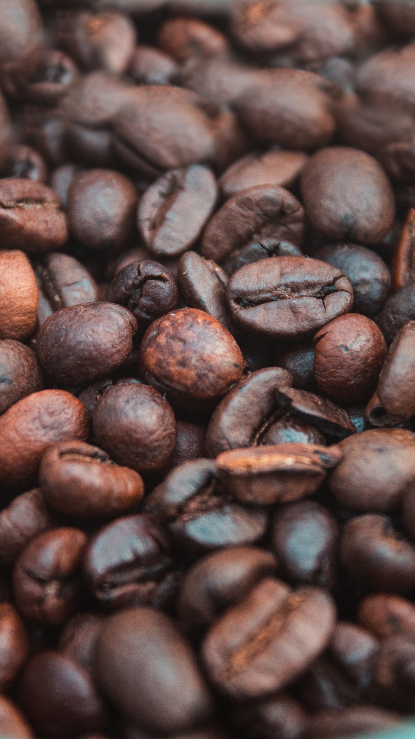 Обои кофе, кофейня, кофейное зерно, обжарка кофе, арабика в разрешении 1440x2560