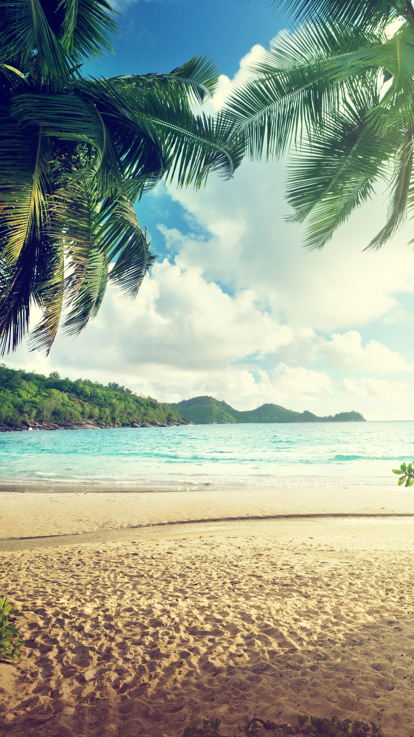 Обои вода, водоем, небо, тропическая зона, берег в разрешении 1440x2560
