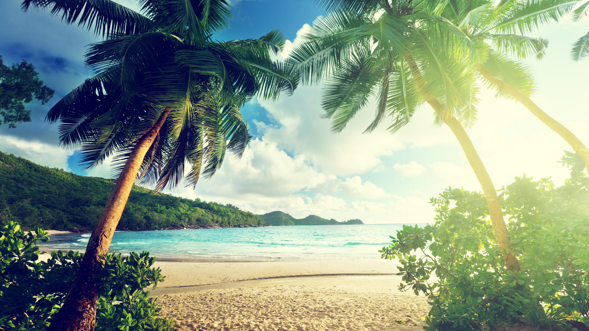 Обои вода, водоем, небо, тропическая зона, берег в разрешении 1920x1080