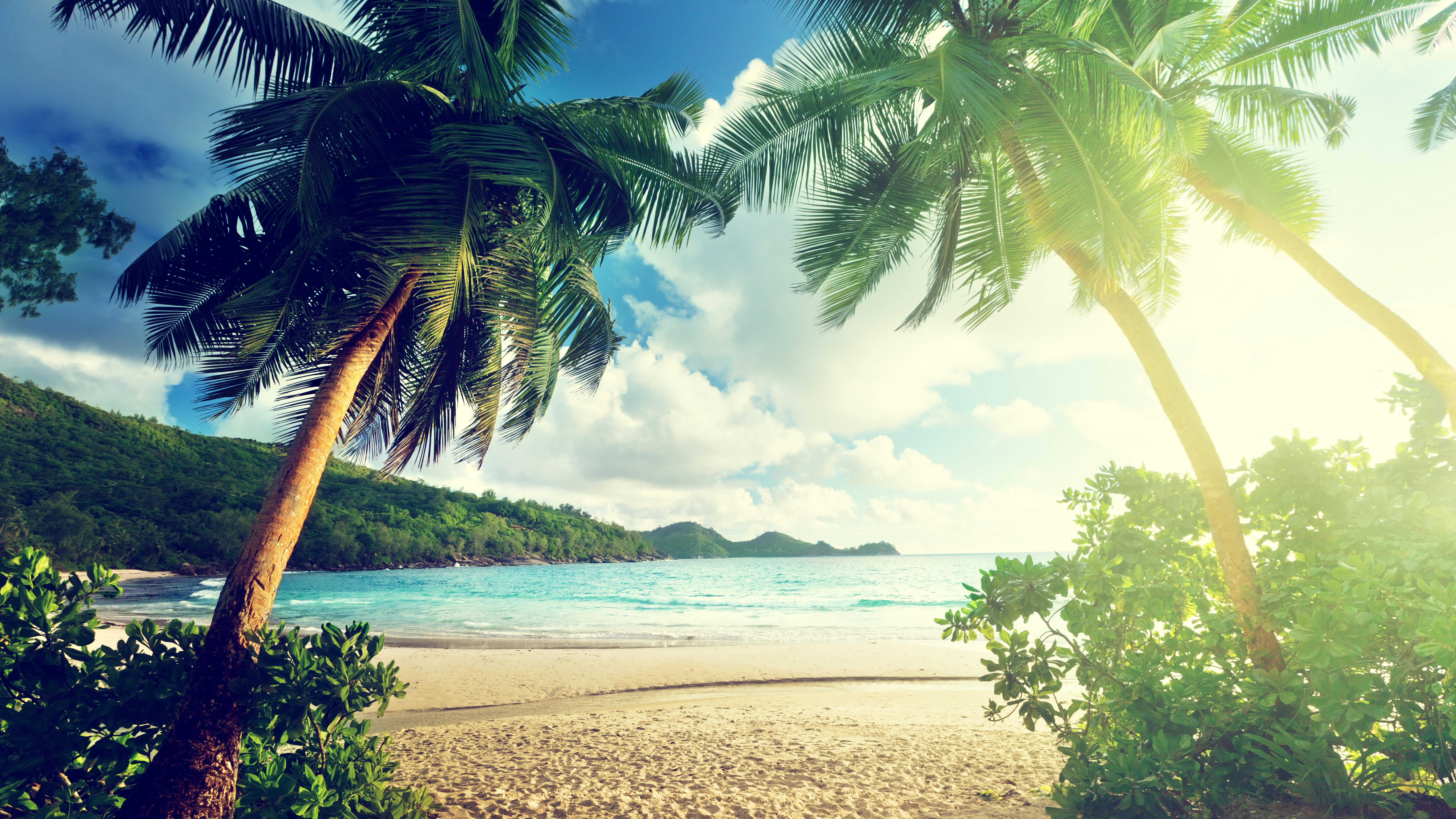 Обои вода, водоем, небо, тропическая зона, берег в разрешении 7680x4320