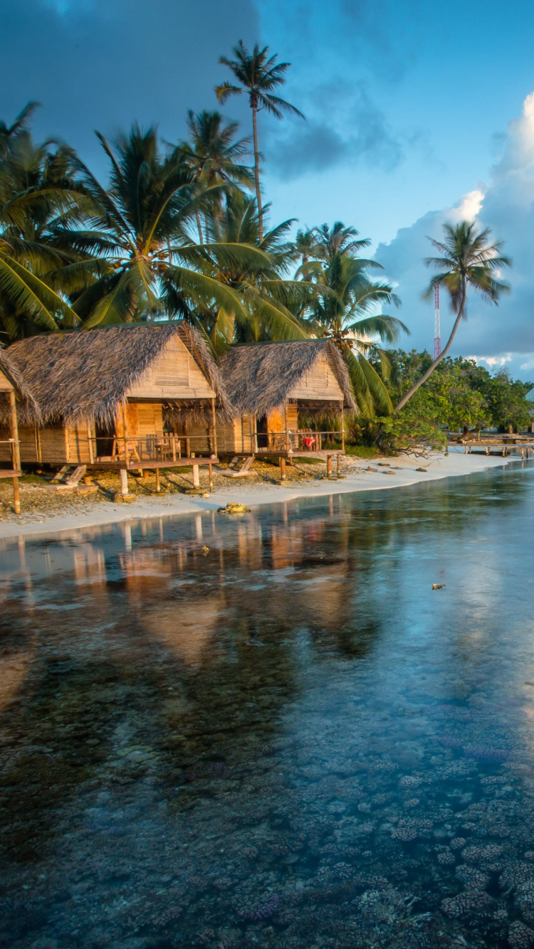 Обои природа, тропическая зона, вода, прибежище, море в разрешении 750x1334