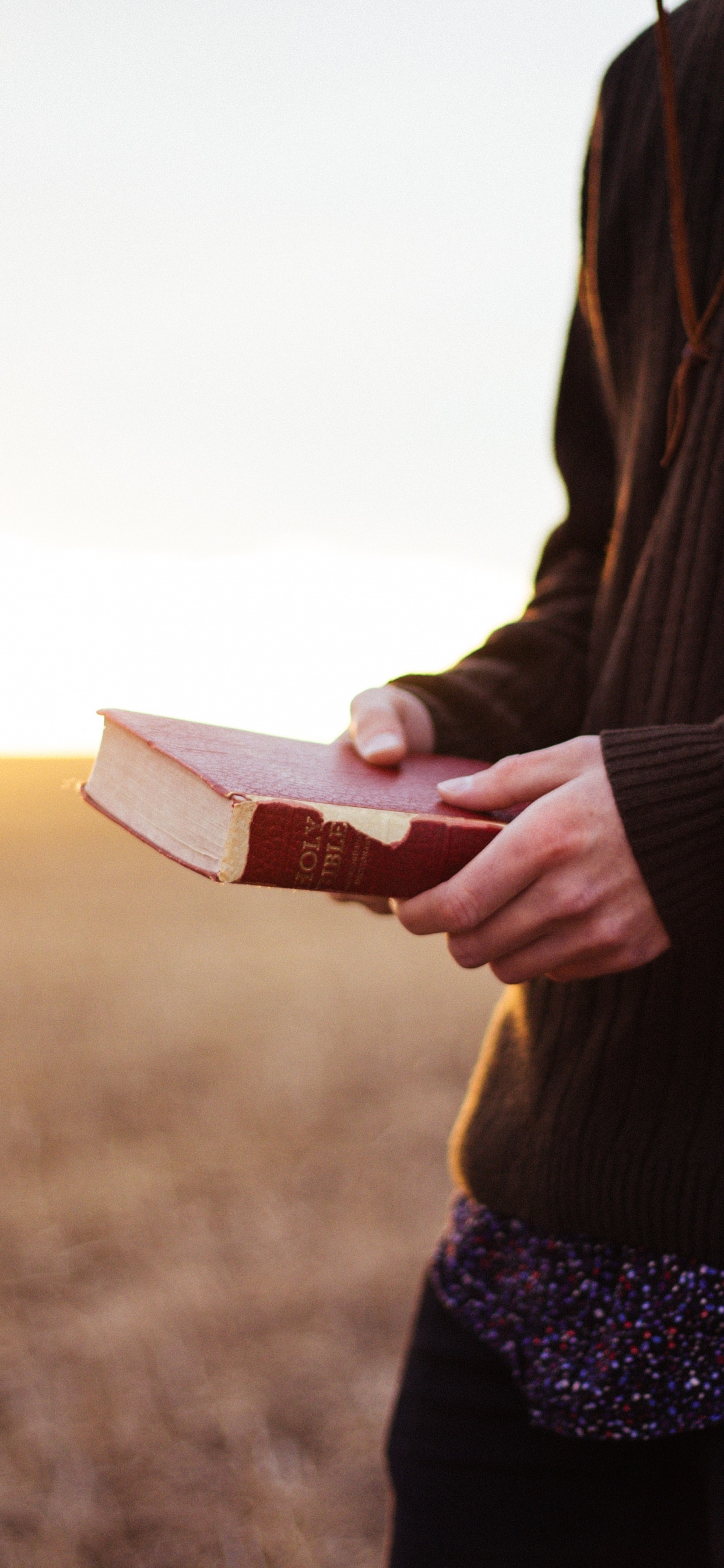 Обои утро, духовность, пейзаж, солнечный свет, религиозный текст в разрешении 1242x2688