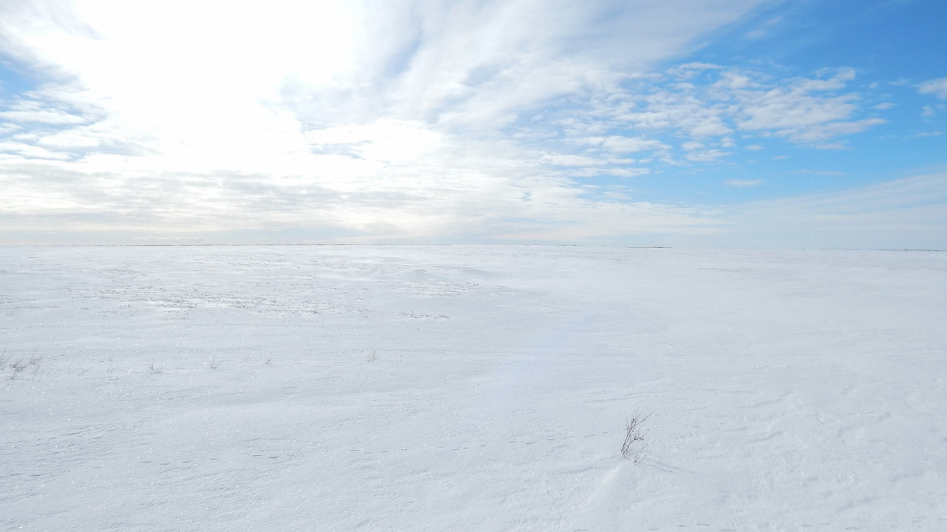 Обои пейзажная живопись, зима, облако, горизонт, Арктика в разрешении 1366x768