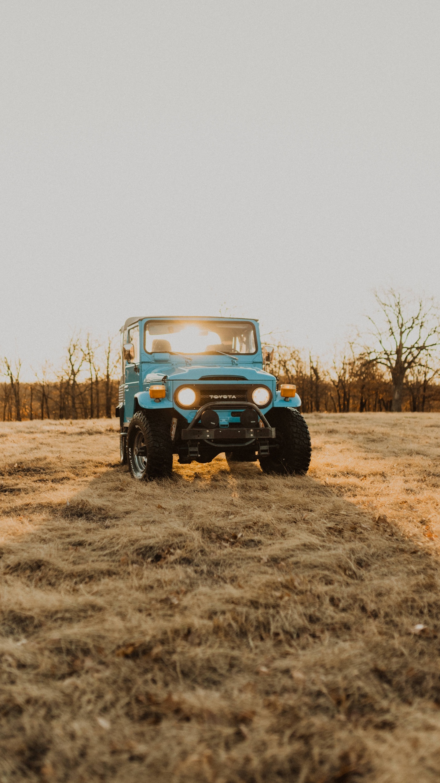 Обои Офф-роуд, автомобильные шины, шина, почва, колесо в разрешении 1440x2560