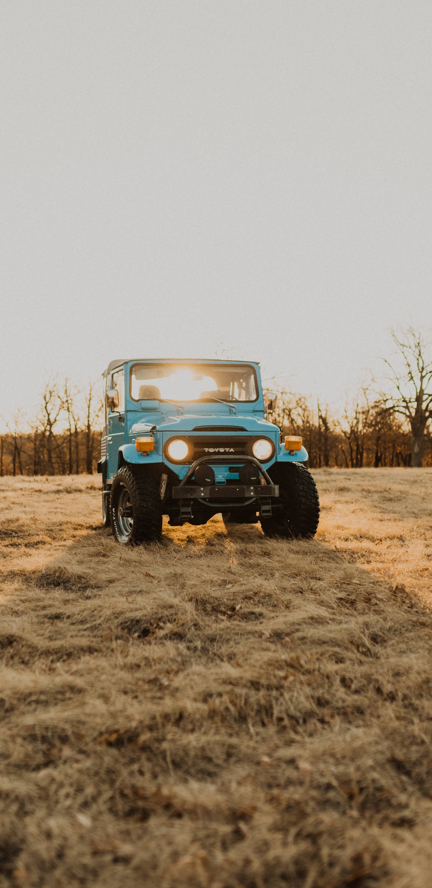 Обои Офф-роуд, автомобильные шины, шина, почва, колесо в разрешении 1440x2960