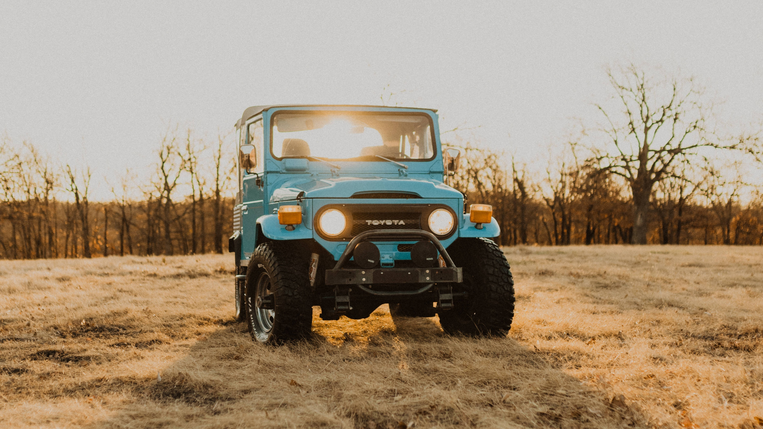 Обои Офф-роуд, автомобильные шины, шина, почва, колесо в разрешении 2560x1440