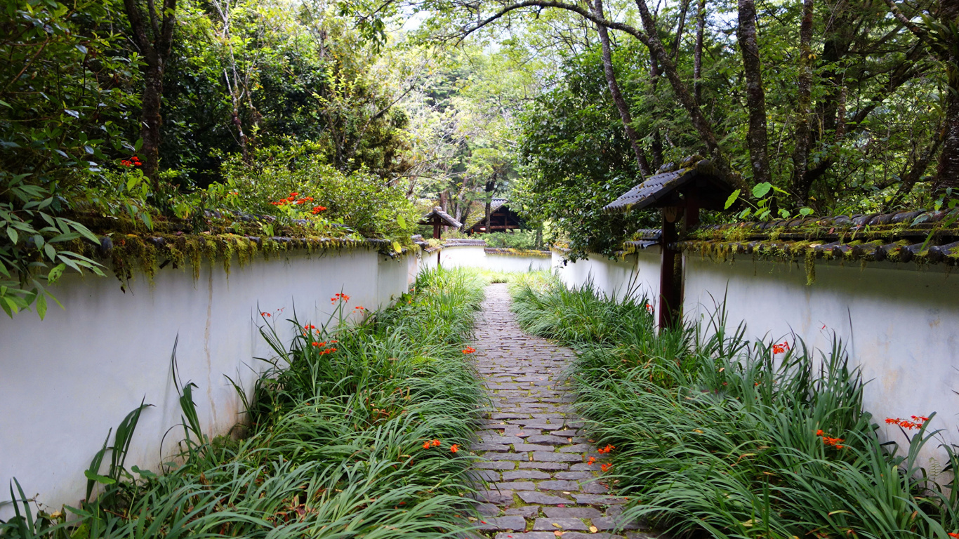 Обои растительность, вода, водный путь, дерево, Банк в разрешении 1366x768