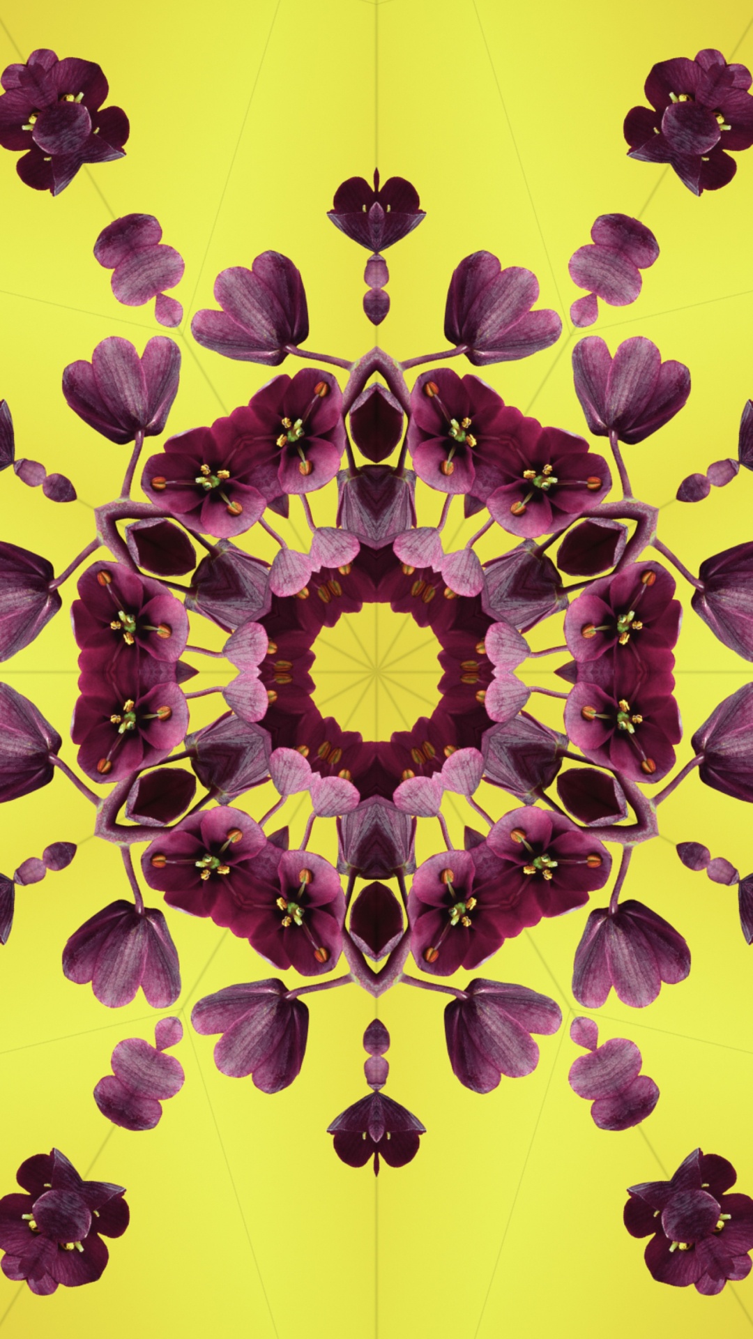 Обои iOS 17, лепесток, яблоко, Операционная система, ios в разрешении 1080x1920