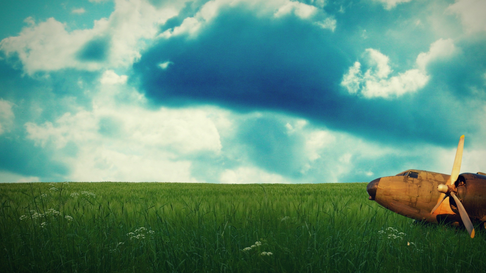 Обои природа, зеленый, облако, прерия, луг в разрешении 1920x1080