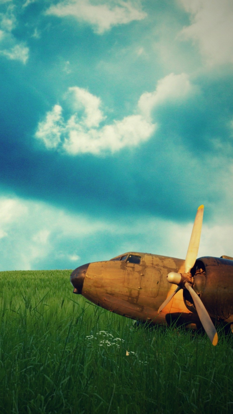 Обои природа, зеленый, облако, прерия, луг в разрешении 750x1334