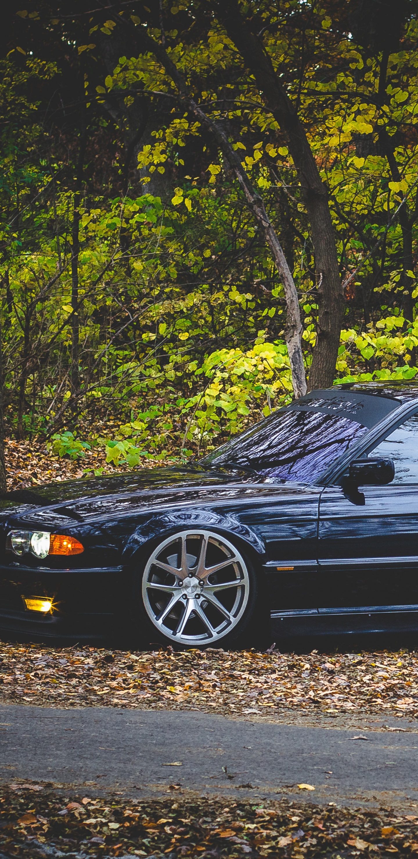 Обои легковые автомобили, Байерише Моторен Верке АГ, автомобиль среднего размера, полный размер автомобиля, седан в разрешении 1440x2960