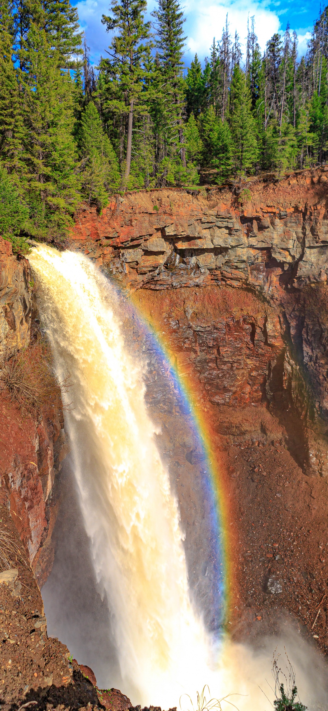 Обои водопад, планшет, Радуга, вода, растение в разрешении 1242x2688