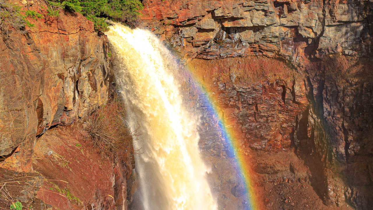 Обои водопад, планшет, Радуга, вода, растение в разрешении 1280x720