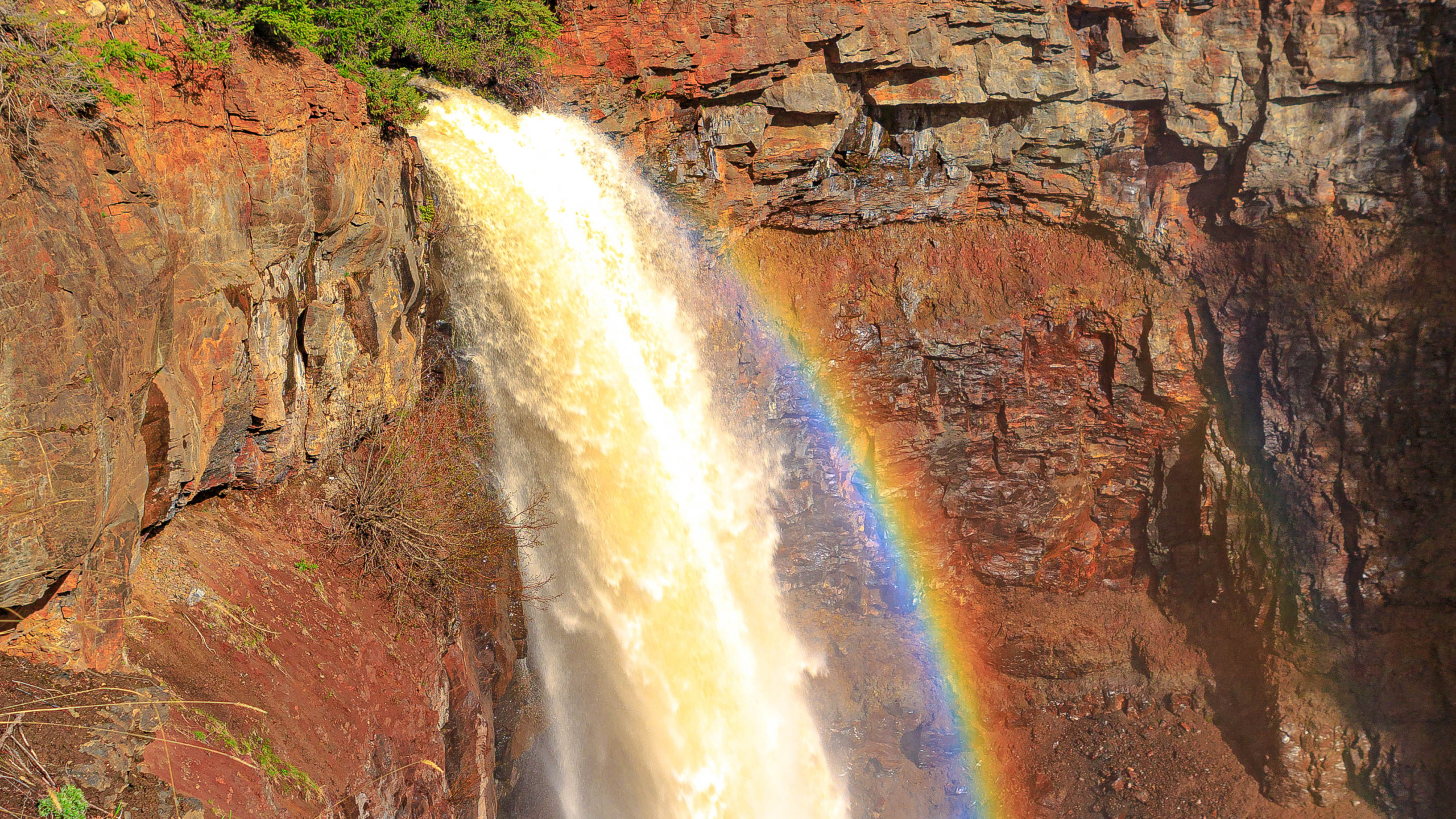 Обои водопад, планшет, Радуга, вода, растение в разрешении 2560x1440