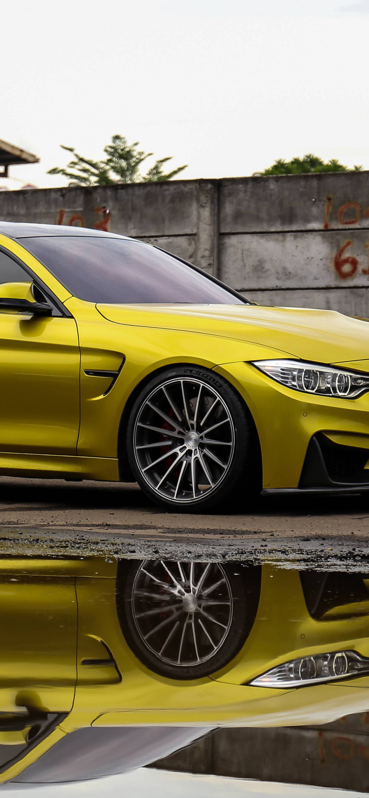 Обои Байерише Моторен Верке АГ, авто, bmw, БМВ М4, спорткар в разрешении 1242x2688