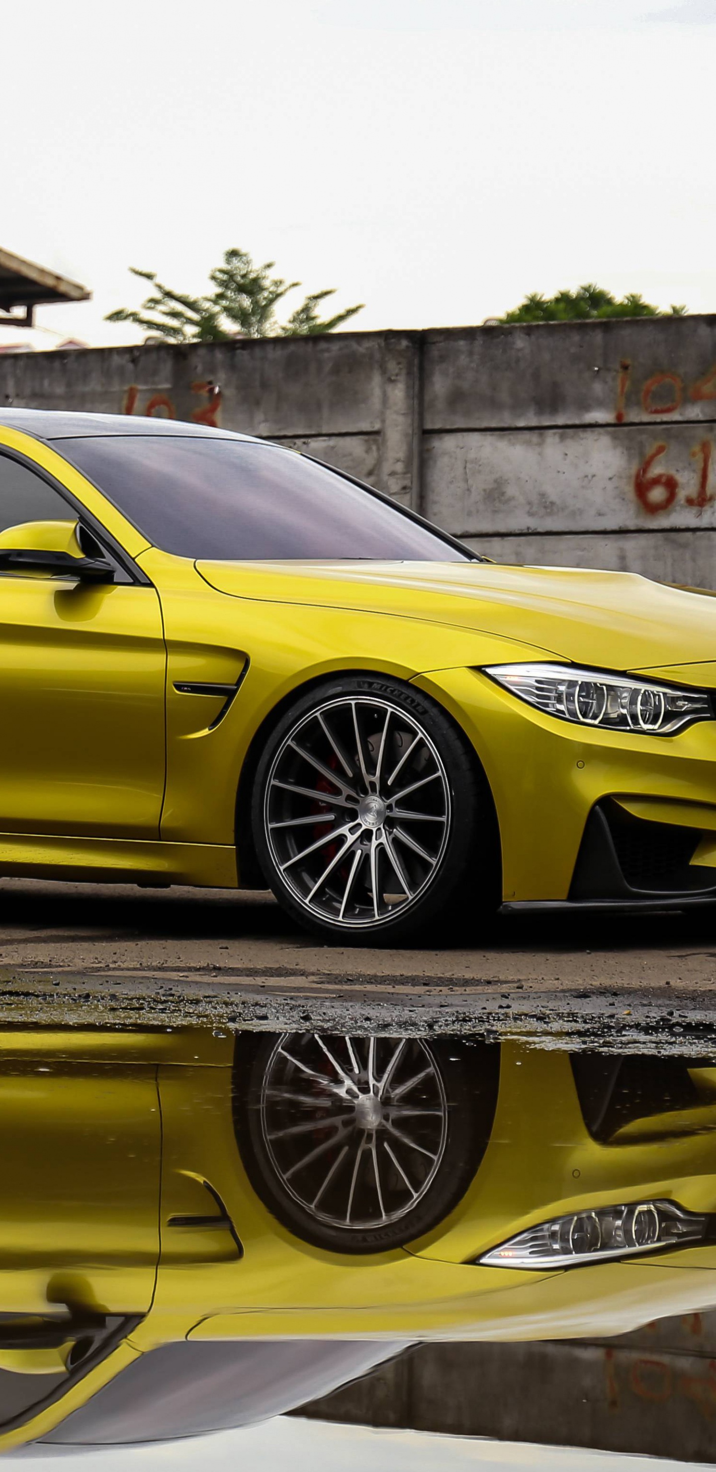 Обои Байерише Моторен Верке АГ, авто, bmw, БМВ М4, спорткар в разрешении 1440x2960