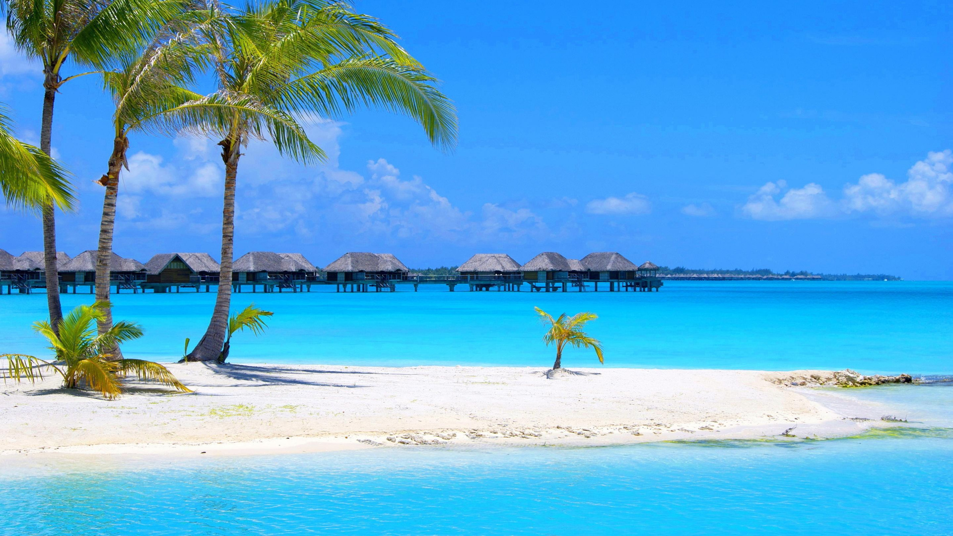 Обои пляж, тропическая зона, отпуск, Карибский бассейн, море в разрешении 1920x1080