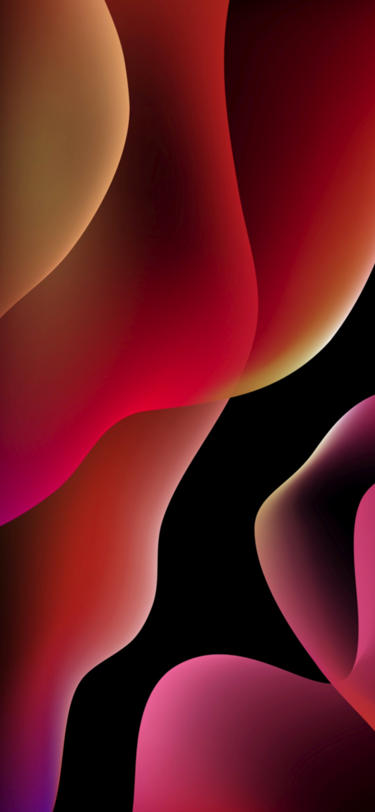 Обои яблоко, красочность, свет, черный, освещение в разрешении 1242x2688