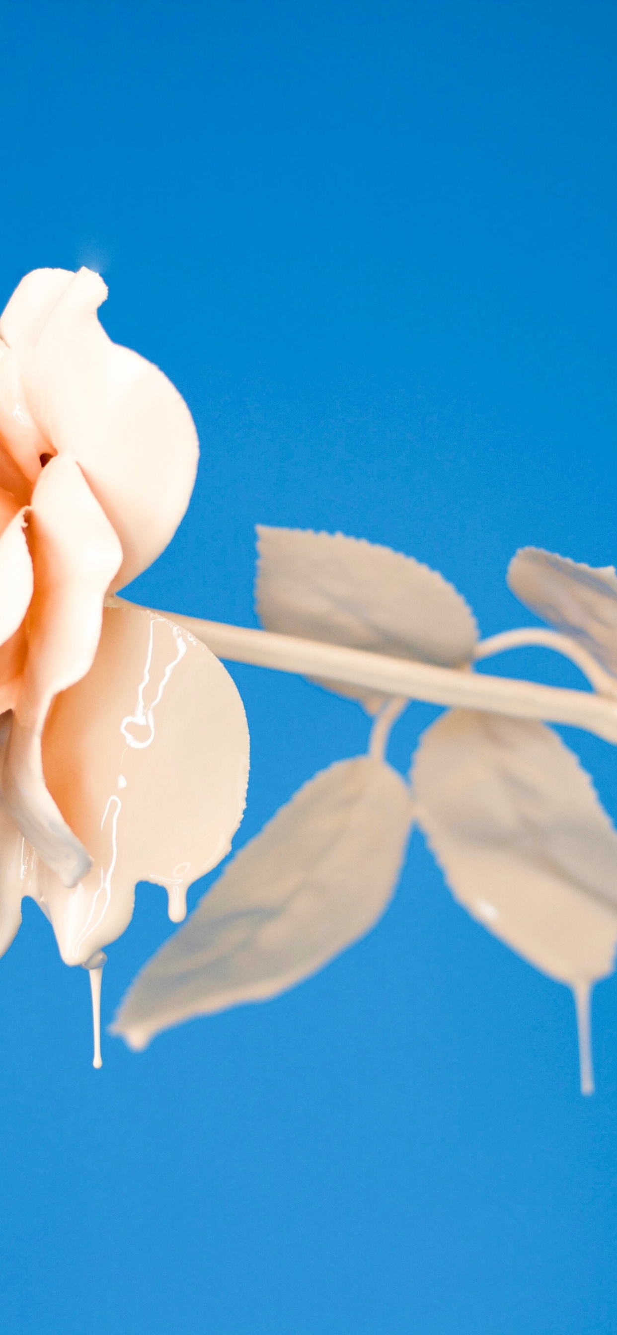 Обои Apple Музыка, музыка, сингл, сад роз, Техническая Воров в разрешении 1242x2688