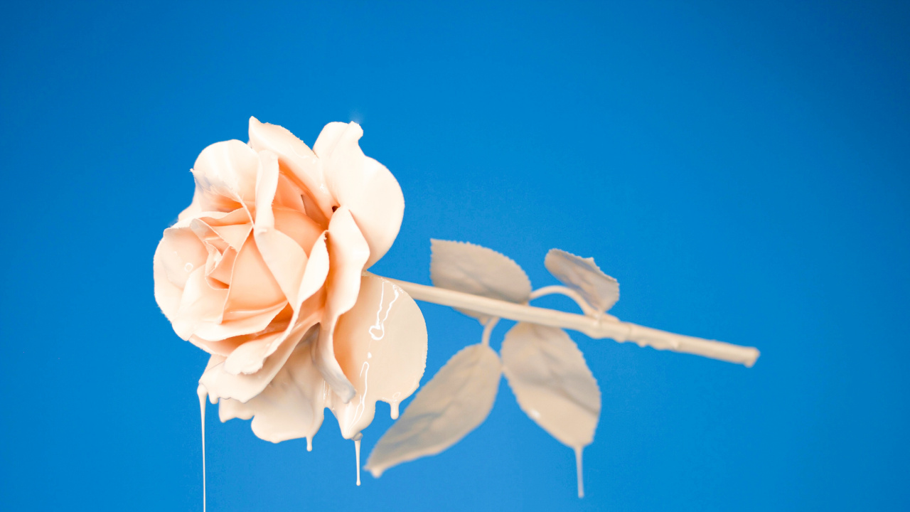 Обои Apple Музыка, музыка, сингл, сад роз, Техническая Воров в разрешении 1280x720