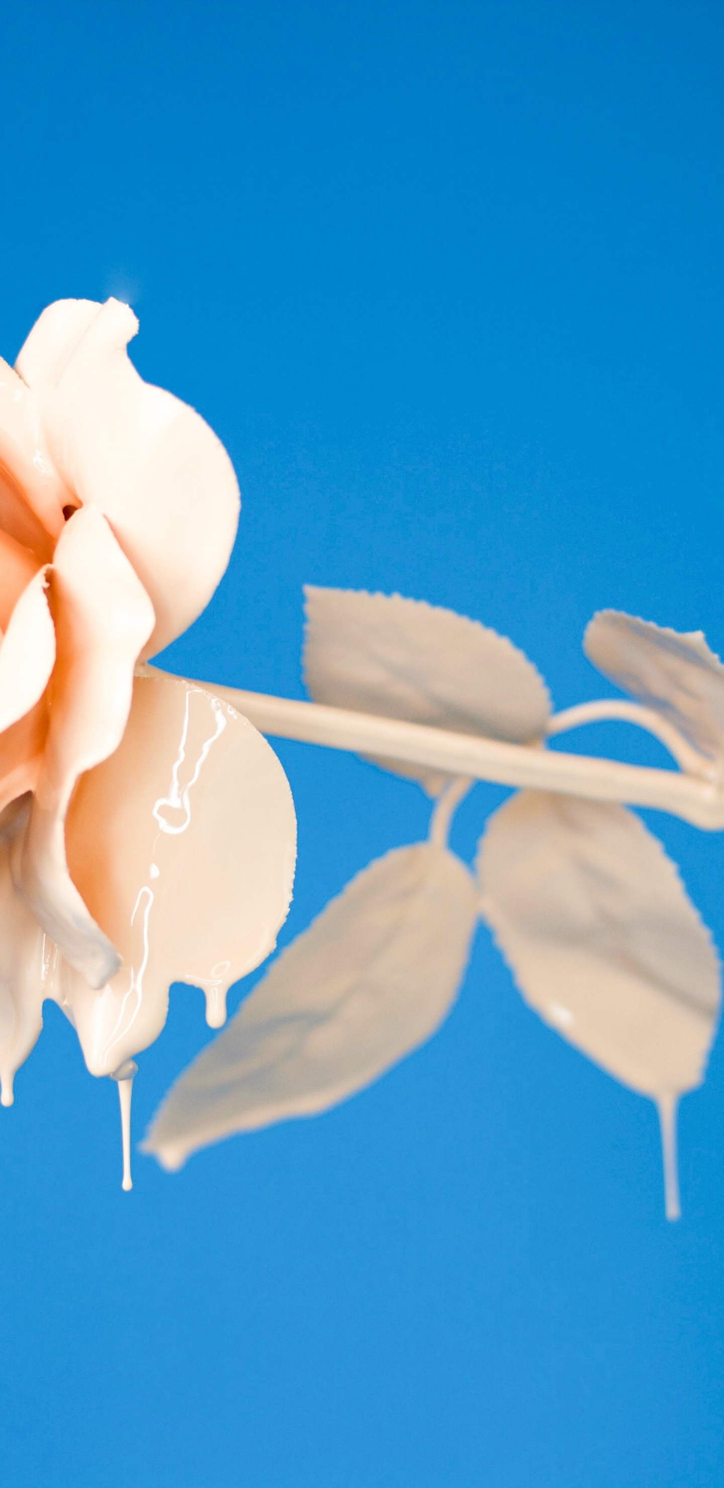 Обои Apple Музыка, музыка, сингл, сад роз, Техническая Воров в разрешении 1440x2960