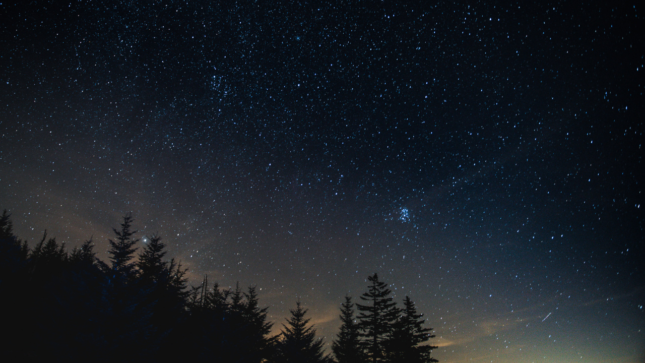 Обои ночь, дерево, природа, атмосфера, звезда в разрешении 1280x720