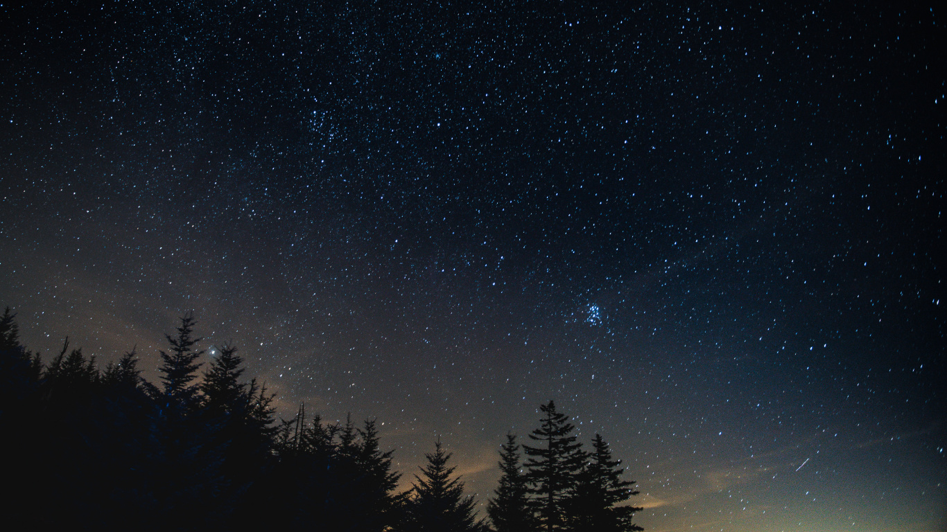 Обои ночь, дерево, природа, атмосфера, звезда в разрешении 1366x768