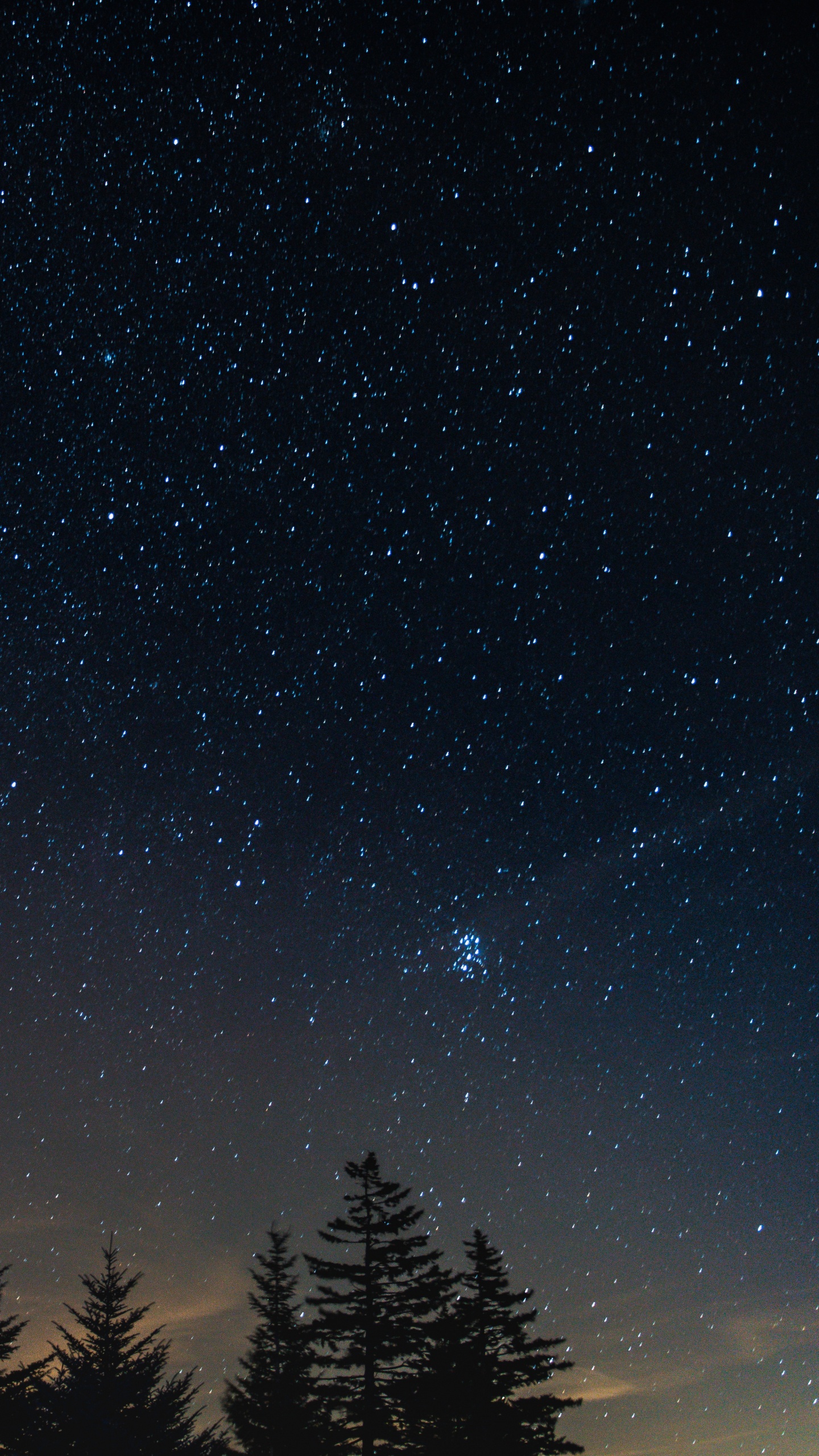 Обои ночь, дерево, природа, атмосфера, звезда в разрешении 1440x2560